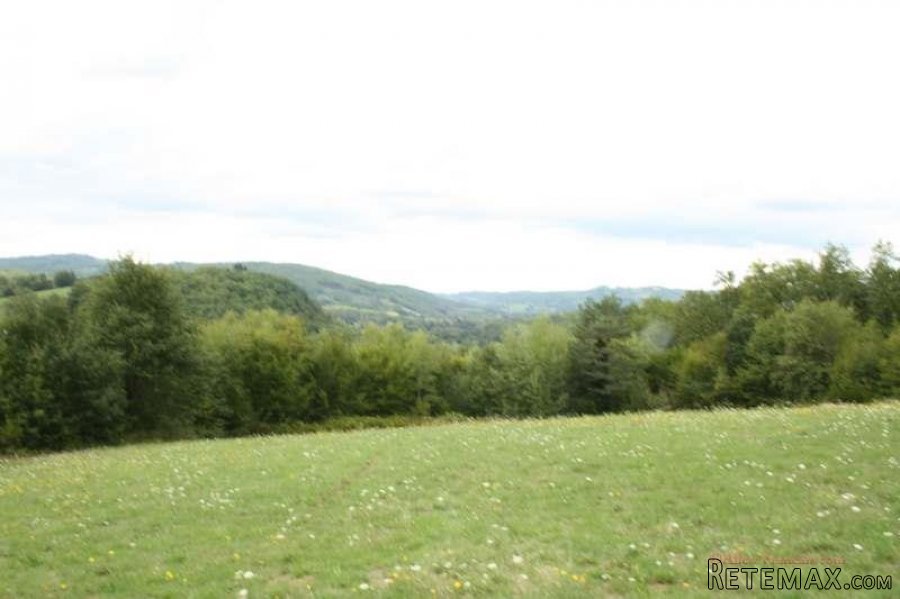 Puy d'Arnac (19) - A large plot of land, with very pleasing.. - 7