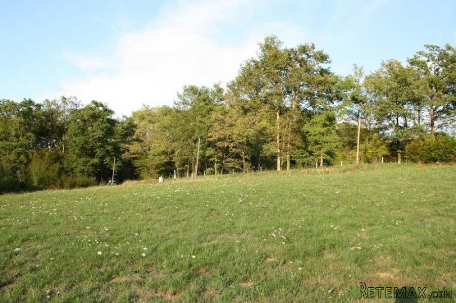 Puy d'Arnac (19) - A large plot of land, with very pleasing.. - 8