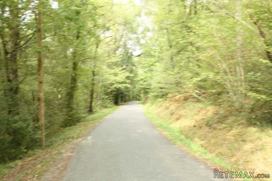 Puy d'Arnac (19) - A large plot of land, with very pleasing.. - 9