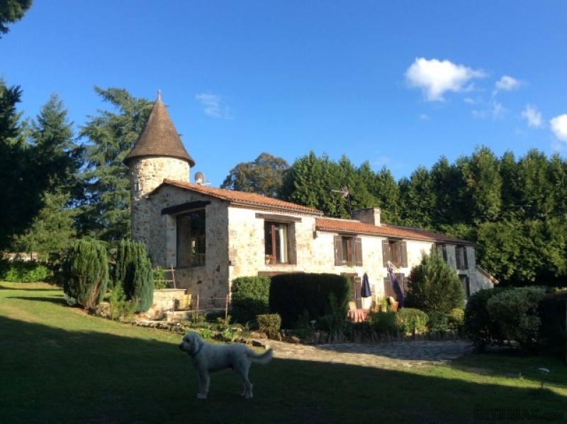 Renovated Stone House With Feature..