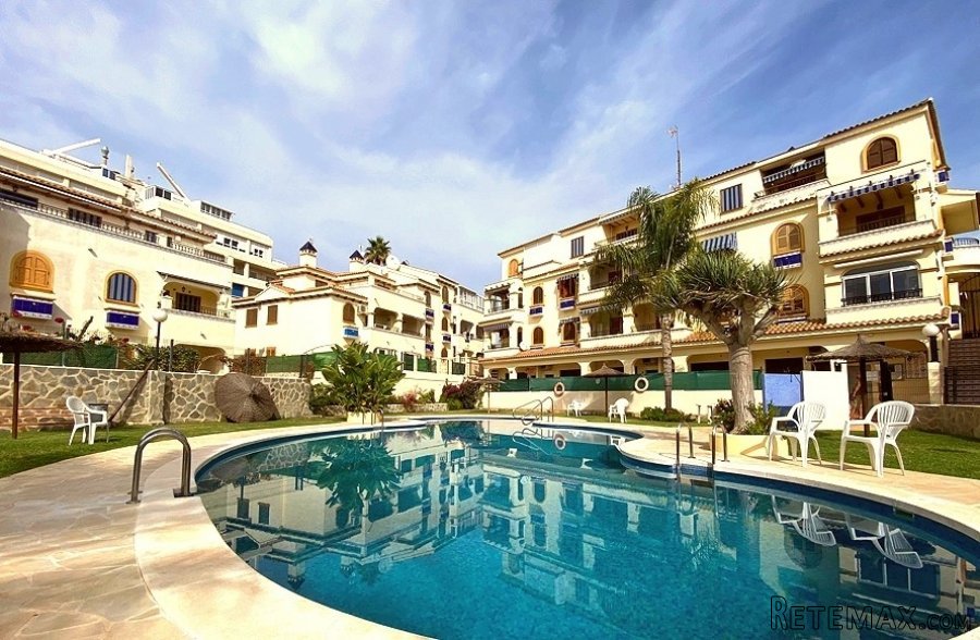 Un hermoso, soleado y muy amplio estudio en la planta baja..