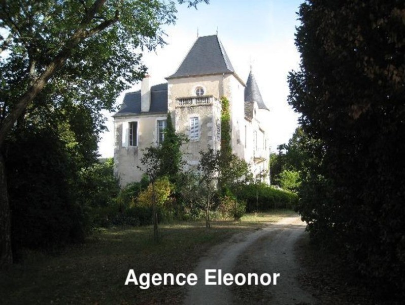 Well Renovated Chateau Walking Distance.. - 2