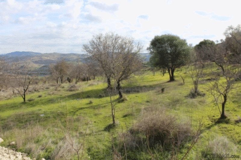 - Land - Paphos - For Sale - 2