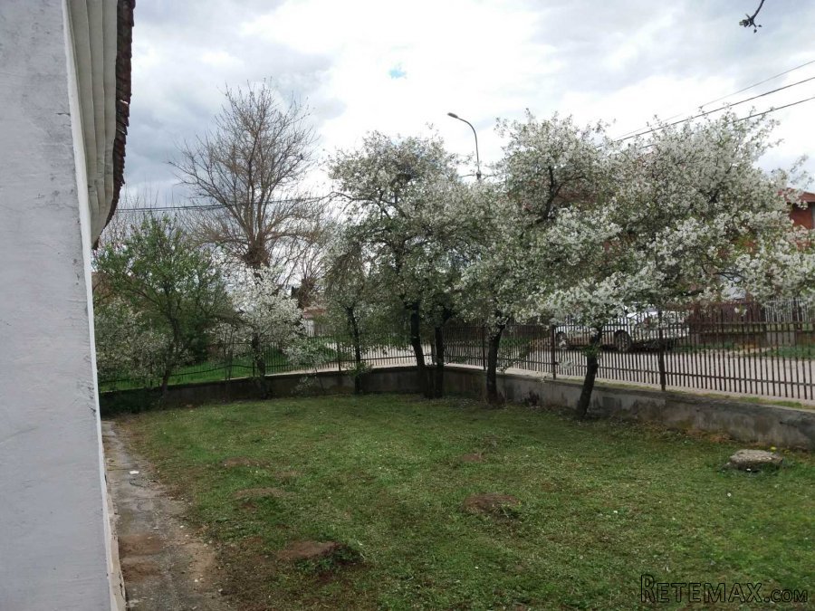 Prodajem seosko domacinstvo Glibovac-Smederevska Palanka - 3