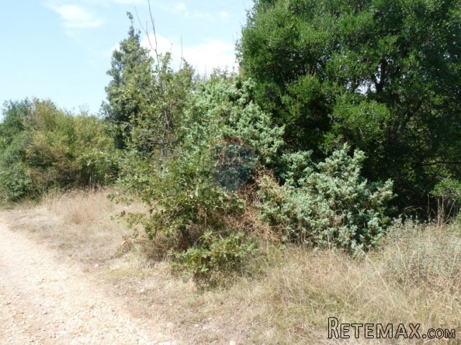 LOBORIKA, poljoprivredna parcela od 5440 m2