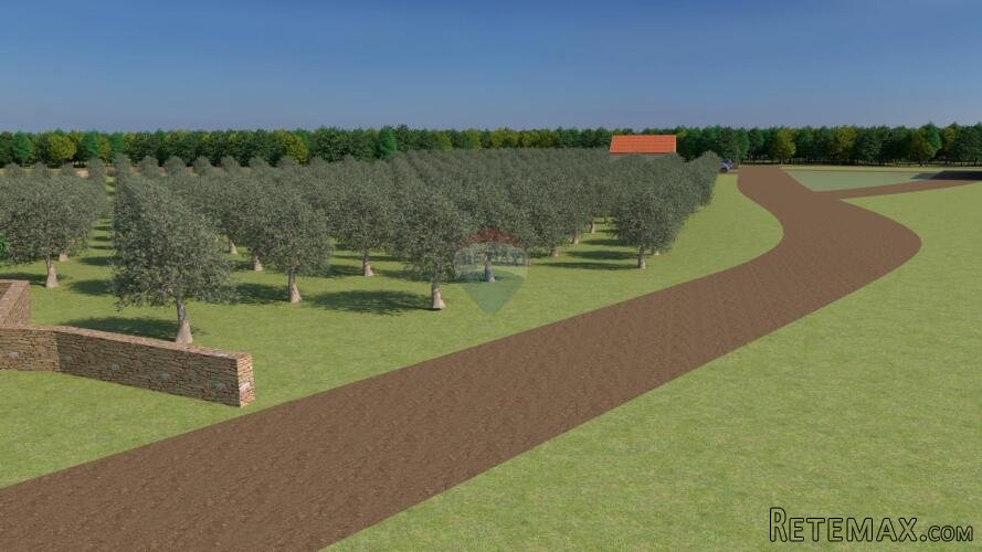 Istra, Bale, poljoprivredno zemljište od 12.200 m2 sa moguć