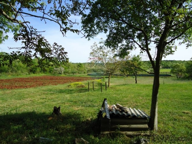 ROVINJ, STANCIJA POVRŠINE 31000M2 - 3KM OD MORA - 5