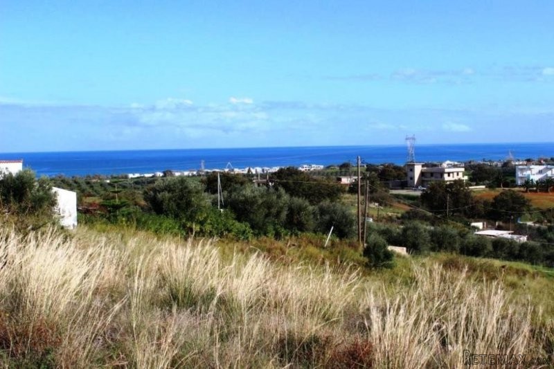DCP-223 Stunning Plot in Mathes Just..