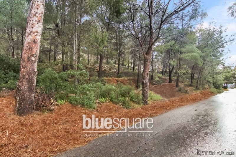 Plot of Land in Altea