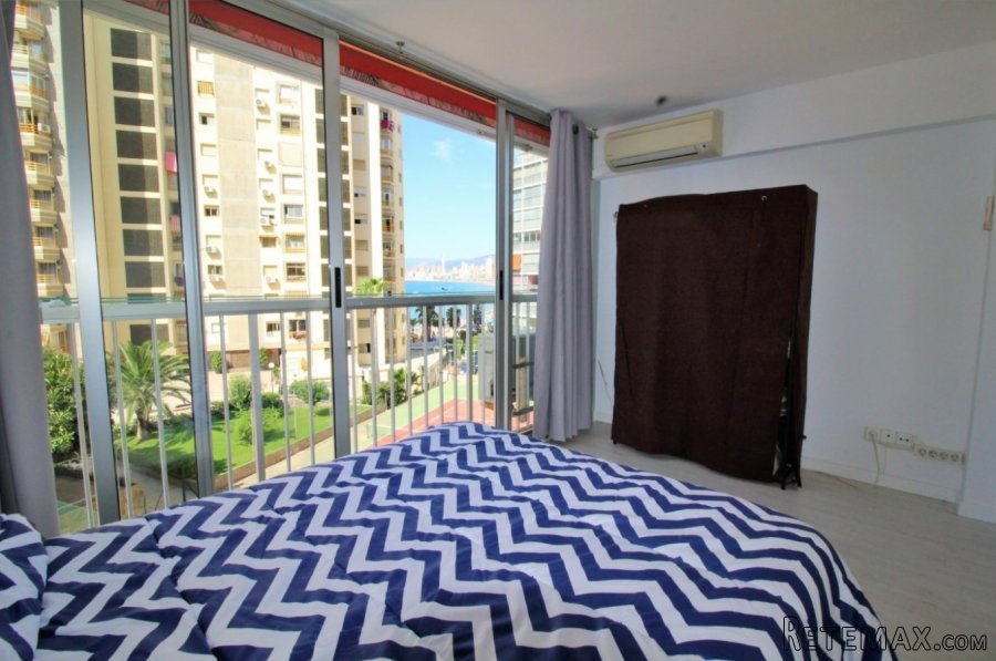 Recién reformado con 1 dormitorioEstudio en Benidorm zona.. - 2