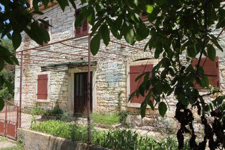 Starina za obnovu sa 4000m2 okućnice - 3