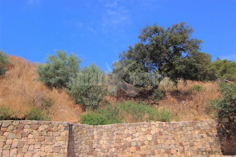 Plot/land For Sale In Elviria..