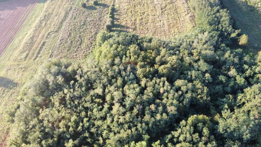 Istra, Brtonigla, 25109 m2 poloprivredno zemljište - 2