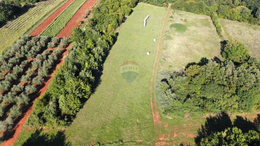 Istra, Brtonigla, 25109 m2 poloprivredno zemljište - 3