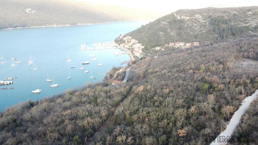 ISTRA, TRGET - negrađevinsko zemljište 14730 m2 - 3