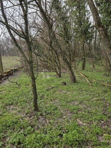 HITNO! Zemljište Kraljevo brdo, Dalj planina - 2