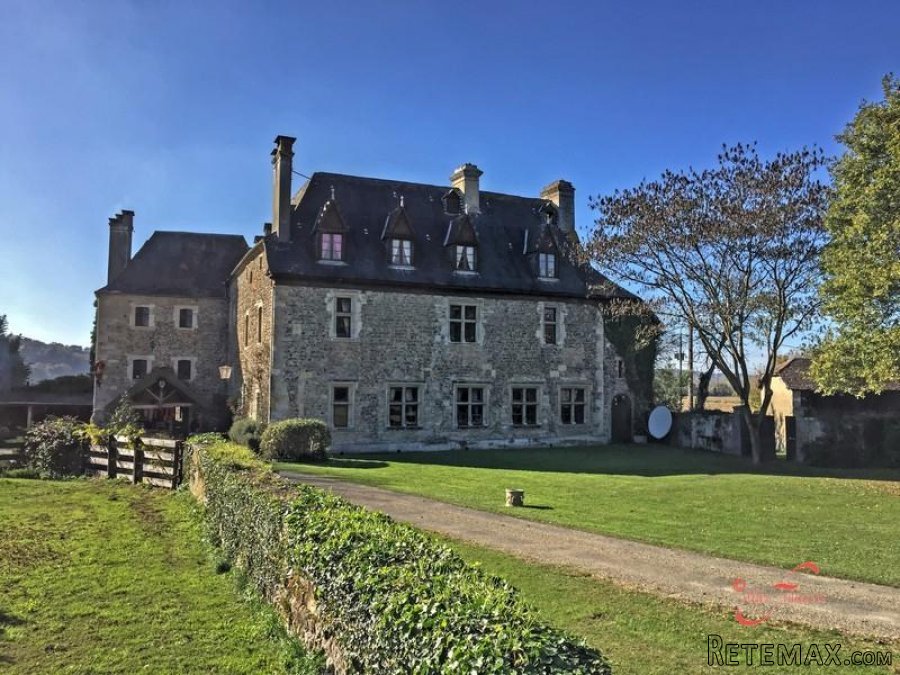 Nr Orthez (64) - A magnificent C12th Château with a swimming.. - 2