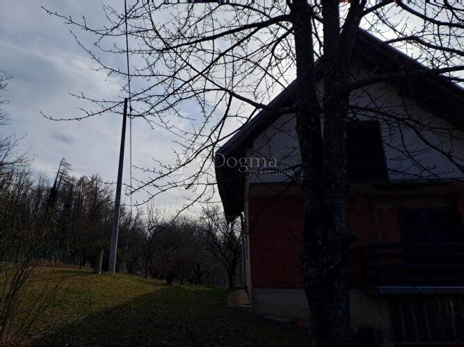 Povoljna viksa na vrhu brda - 3