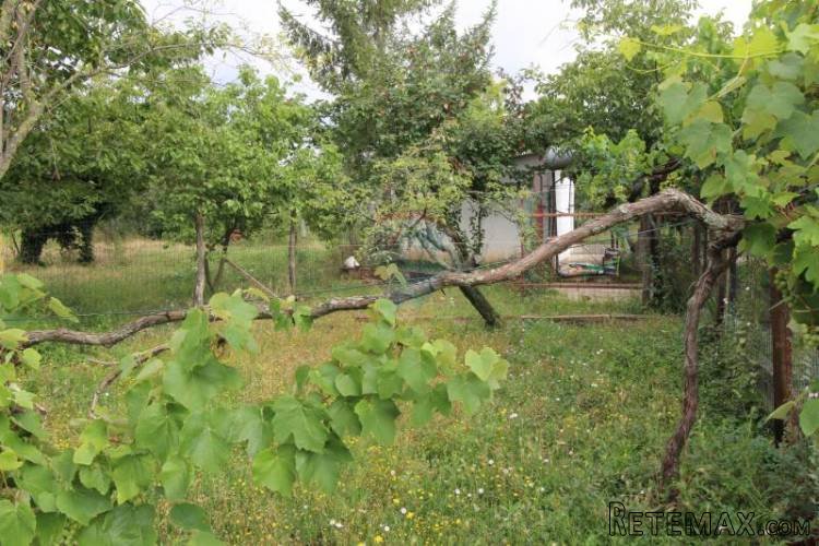 Umag, kuća za adaptaciju 4km od mora - 5