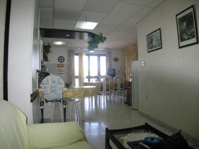 Flat, Ordinary Finish - 2