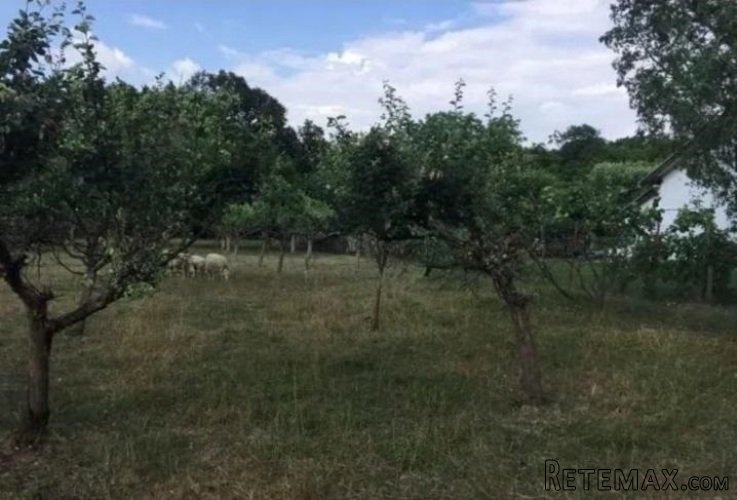 Prodajem kucu sa velikim placem-Obrež - 10