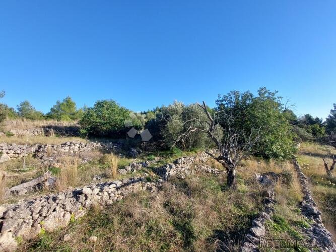 Veliko poljoprivredno zemljište s kućicom - uvala Gršćica 15 - 2