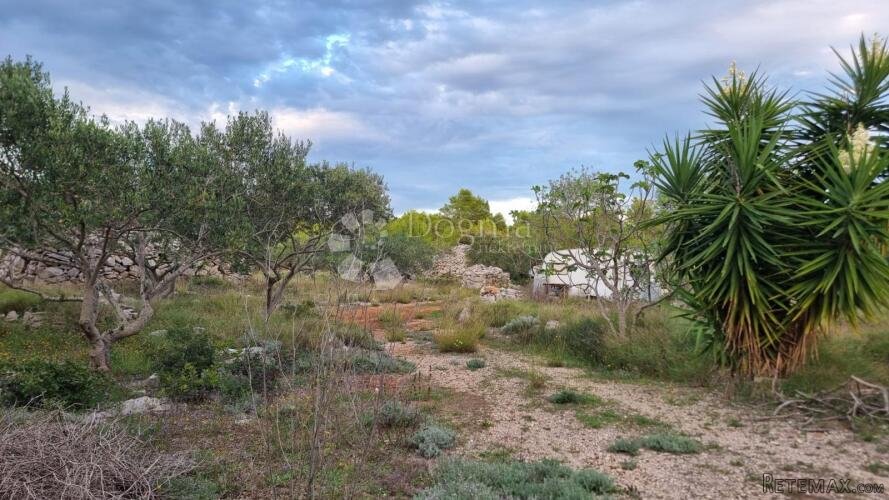 Poljoprivredno zemljište 13472 m2- Milna,Brač - 3