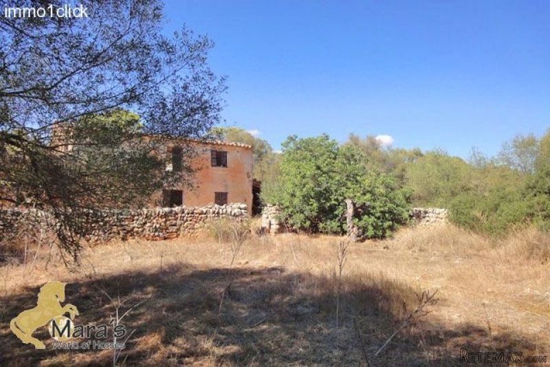 Campos: country estate, plot, land for..