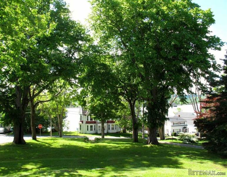 3 bedroom House For Sale: 11 Troop Lane.. - 2