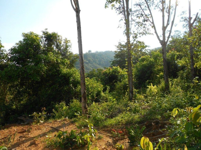 Phuket East - 1 Rai of Land with.. - 2