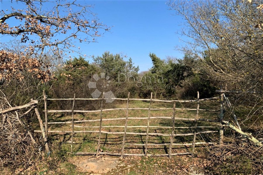 BALE – okolica, velika pacela, voda i struja u blizini