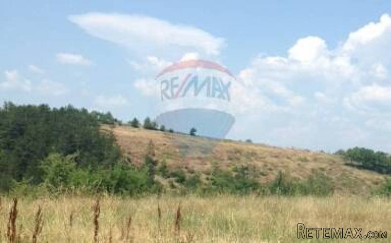 Grimalda, poljoprivredno zemljište 22 800m2 - 5