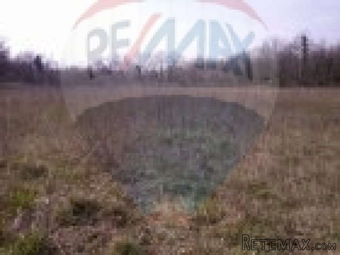 Istra, Filipana, poljoprivredno zemljište - 5