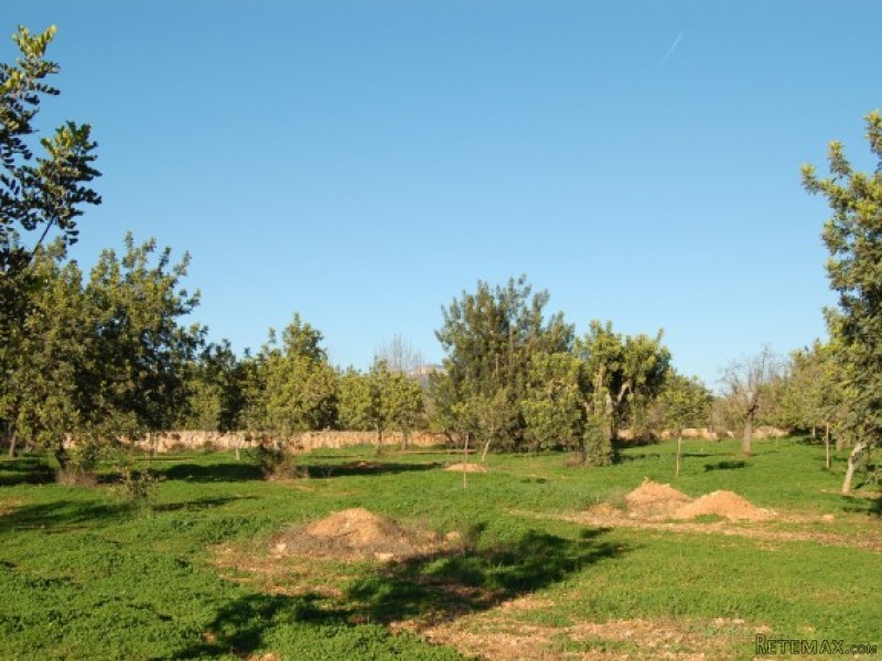 Lovely Building Plot In Santa Maria