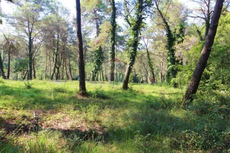 TAR, VABRIGA, ZEMLJIŠTE,SVEGA 400M OD MORA... - 2