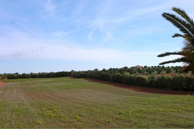 Plot of 73.500 m2 with house to renew.. - 2