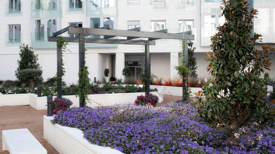 Homes with 1, 2, 3 and 4 bedrooms, and penthouses with 1.. - 4