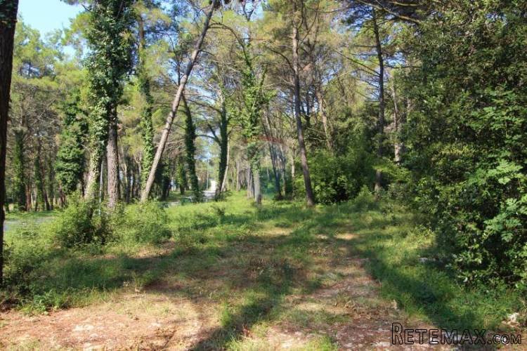 TAR, VABRIGA, ZEMLJIŠTE,SVEGA 400M OD MORA... - 4