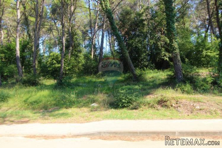 TAR, VABRIGA, ZEMLJIŠTE,SVEGA 400M OD MORA... - 5