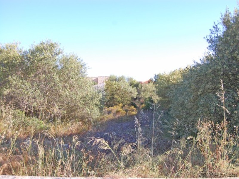 Building Plot Without Licence In Bahia..