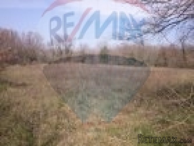 Istra, Filipana, poljoprivredno zemljište - 2