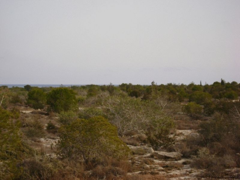 - Land - Famagusta - For Sale - 2