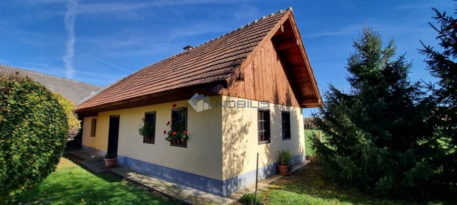 Dubrava Križovljanska, kuća, velika okućnica, 2 garaže - 10