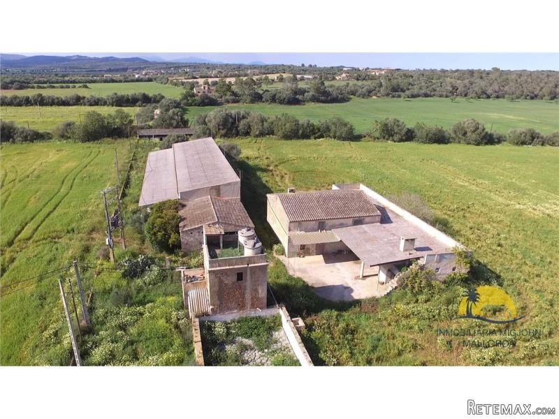 For Sale In Campos