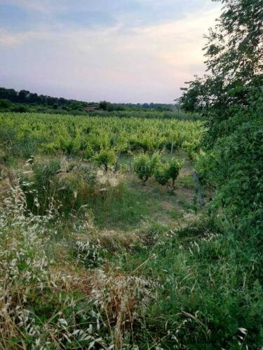 Građevinsko zemljište u Benkovcu – 1.871 m², pristupačna lok - 2