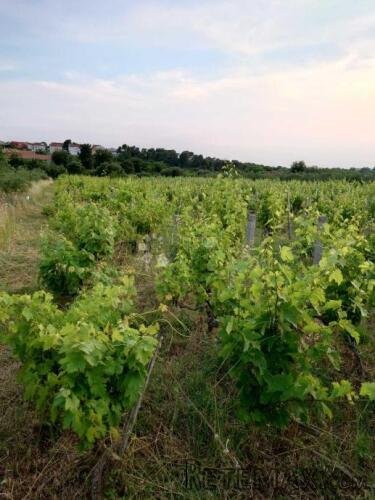 Građevinsko zemljište u Benkovcu – 1.871 m², pristupačna lok - 3