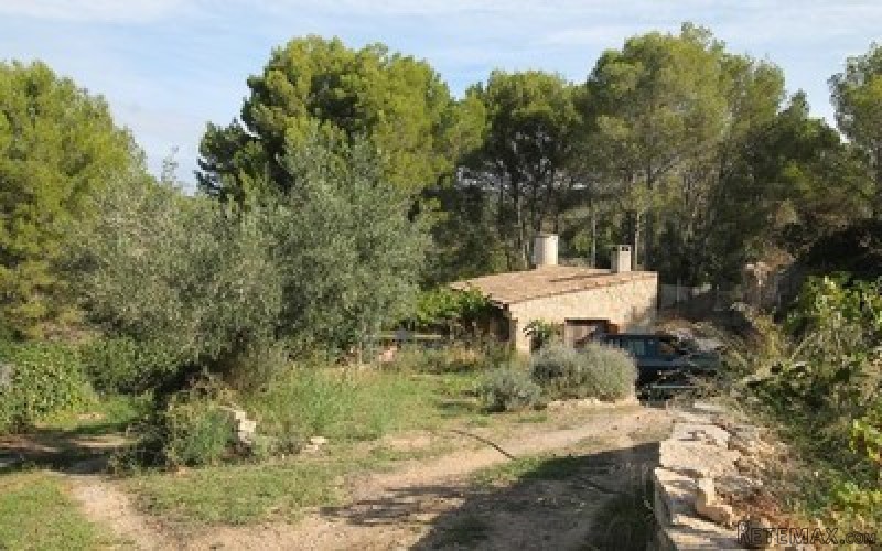 IP2-3771 - Plot For sale in Calvia..