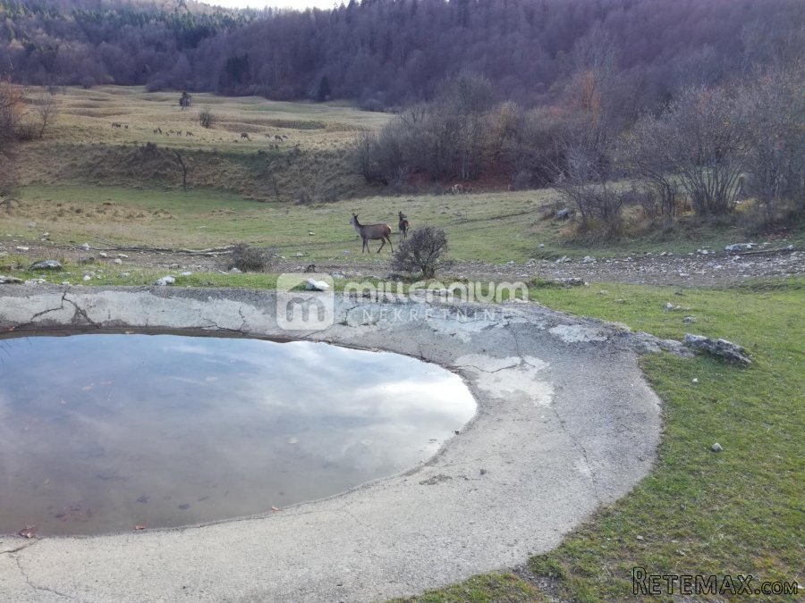 Ogulin, 5008m2 građevinskog zemljišta - 4
