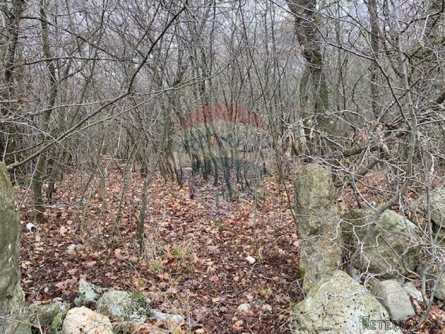 OTOK KRK - Polje - 5