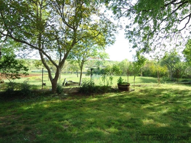 ROVINJ, STANCIJA POVRŠINE 31000M2 - 3KM OD MORA - 4